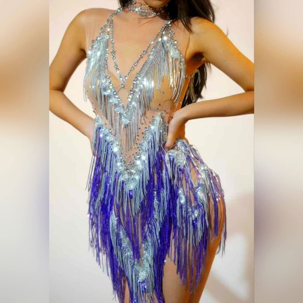 Purple Fringe rhinestone embellished dress